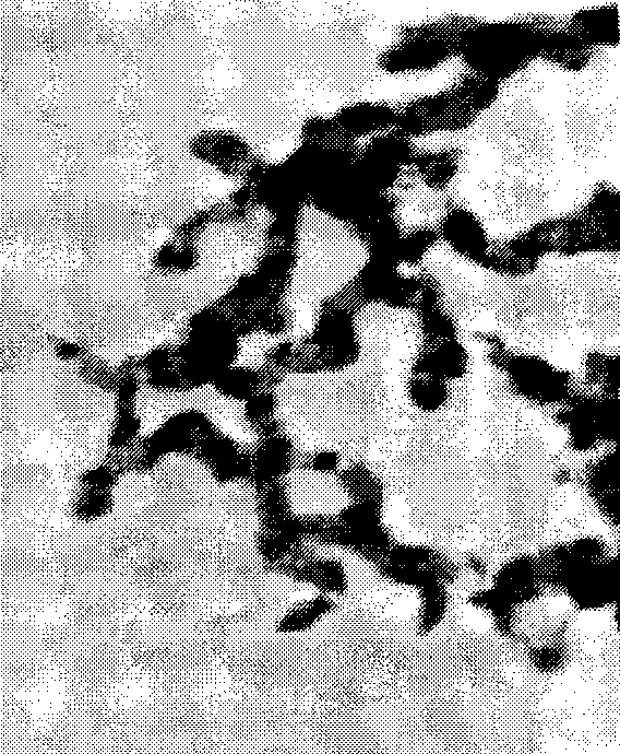 Process for producing nano-Ni/Fe bimetallic material