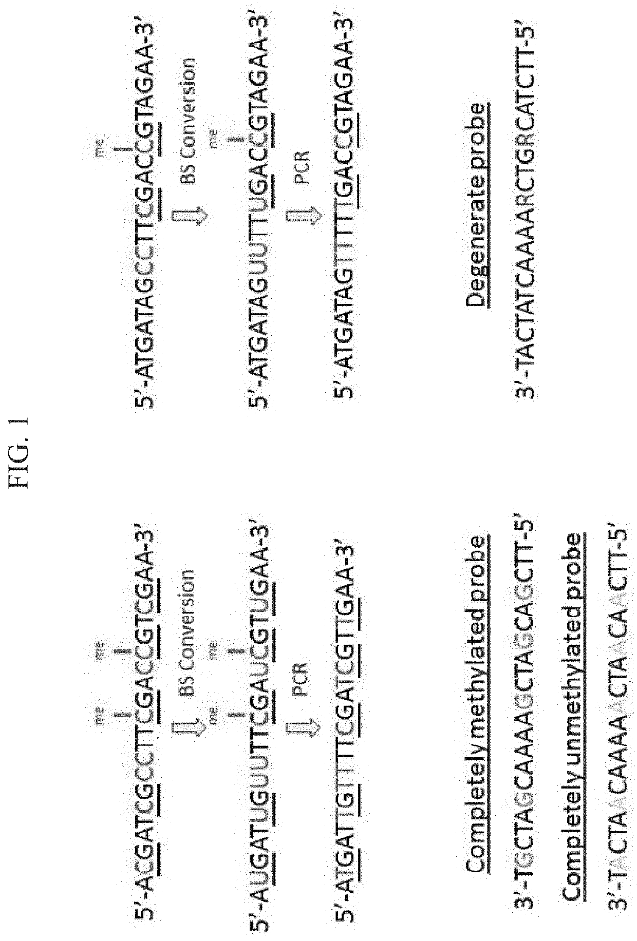 Distinguishing methylation levels in complex biological samples