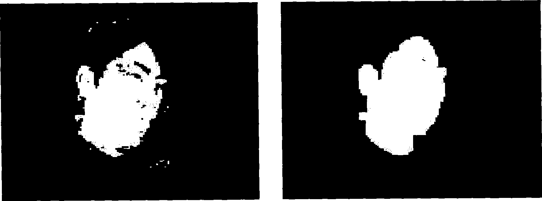 Method for real time tracking individual human face in complicated scene