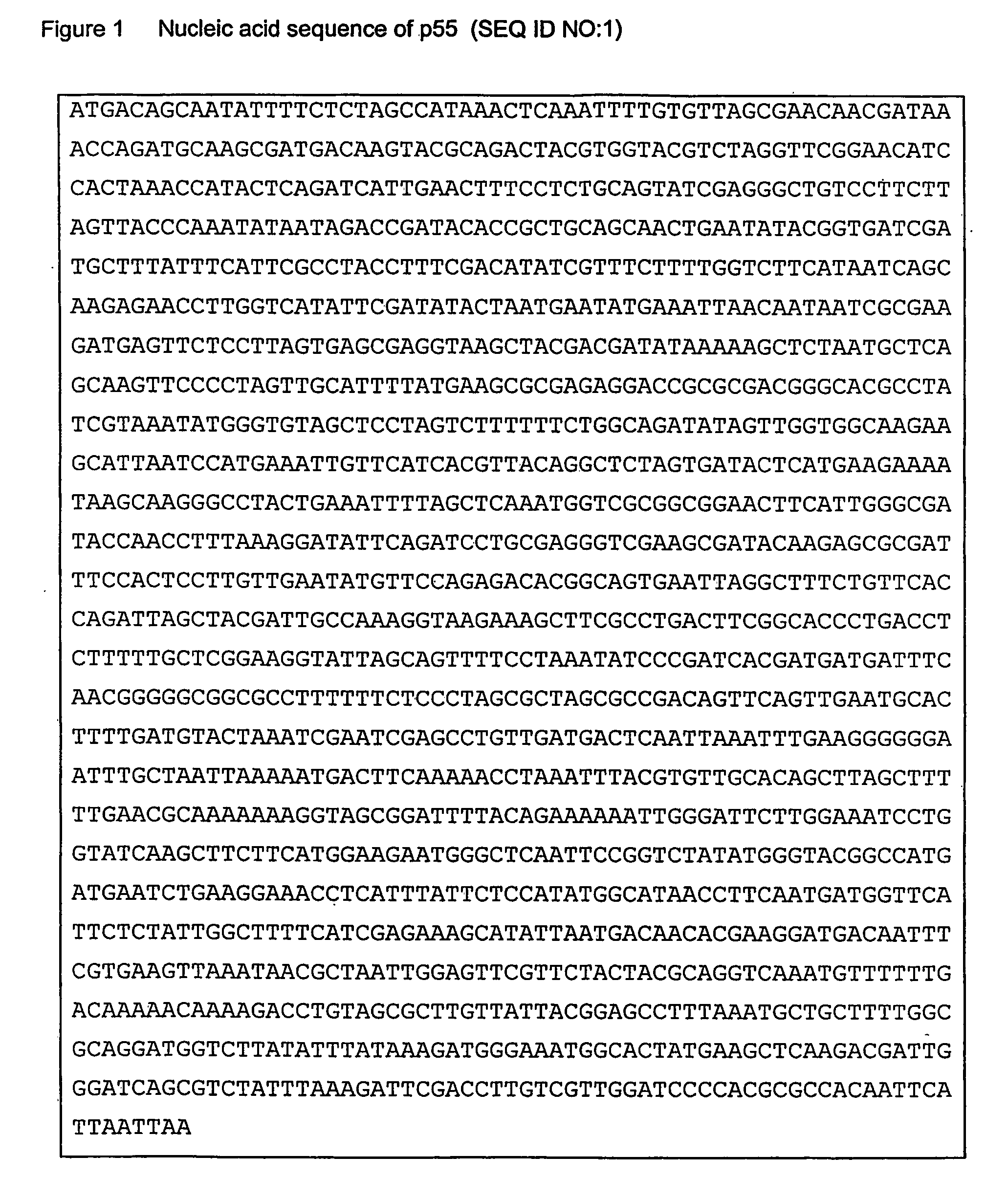 Protein from photobacterium damselae and use thereof