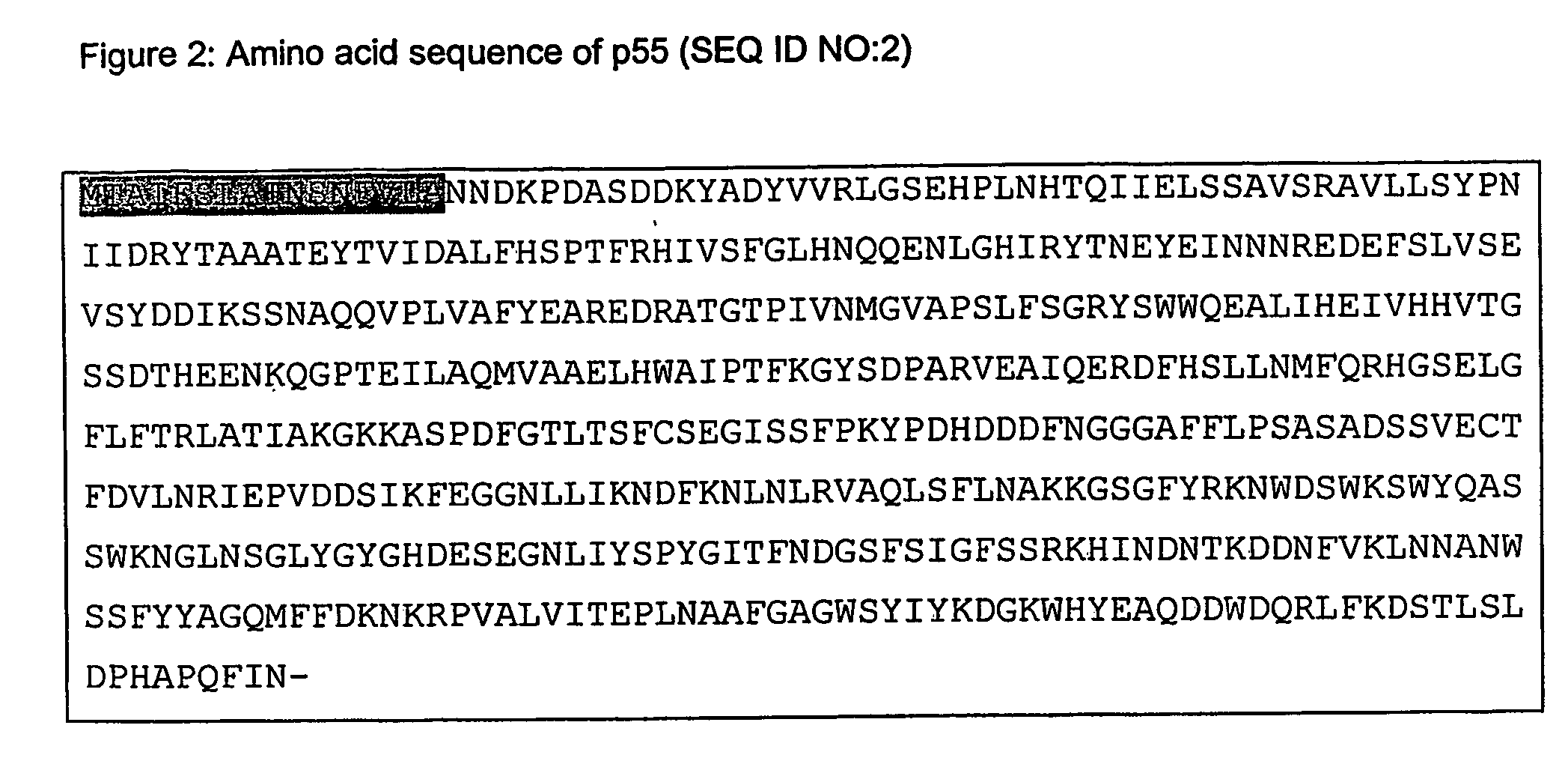 Protein from photobacterium damselae and use thereof