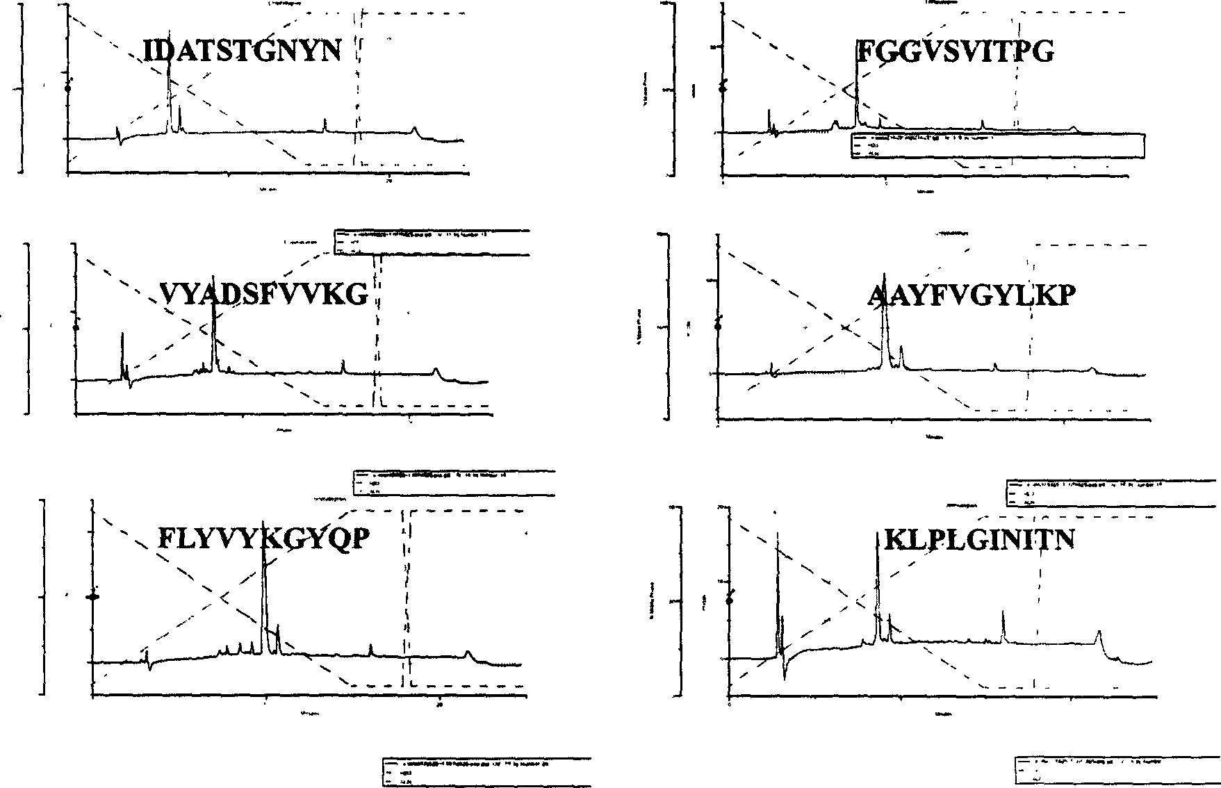 Peptide library, its synthesis process and active segment screened from the peptide library