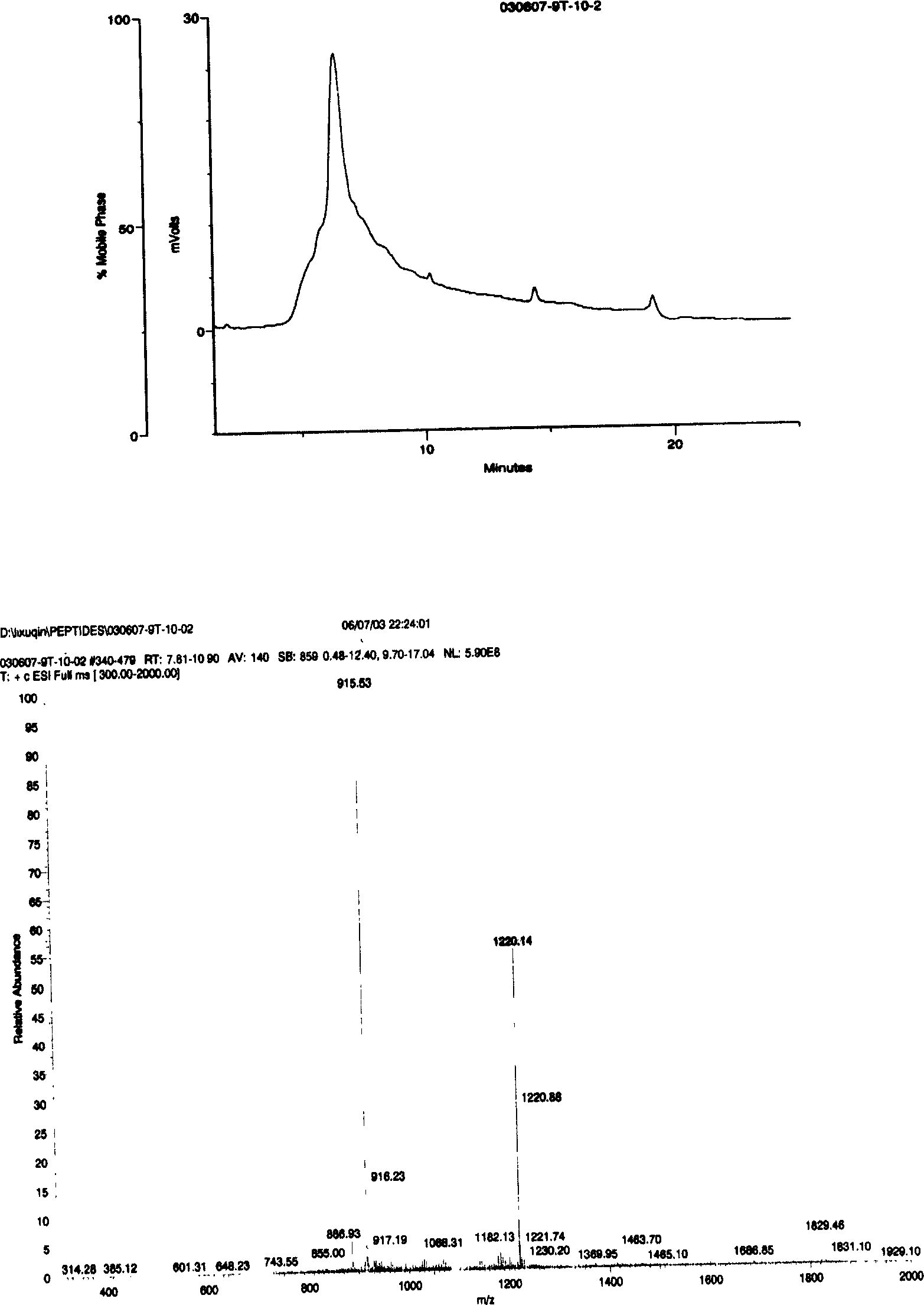 Peptide library, its synthesis process and active segment screened from the peptide library