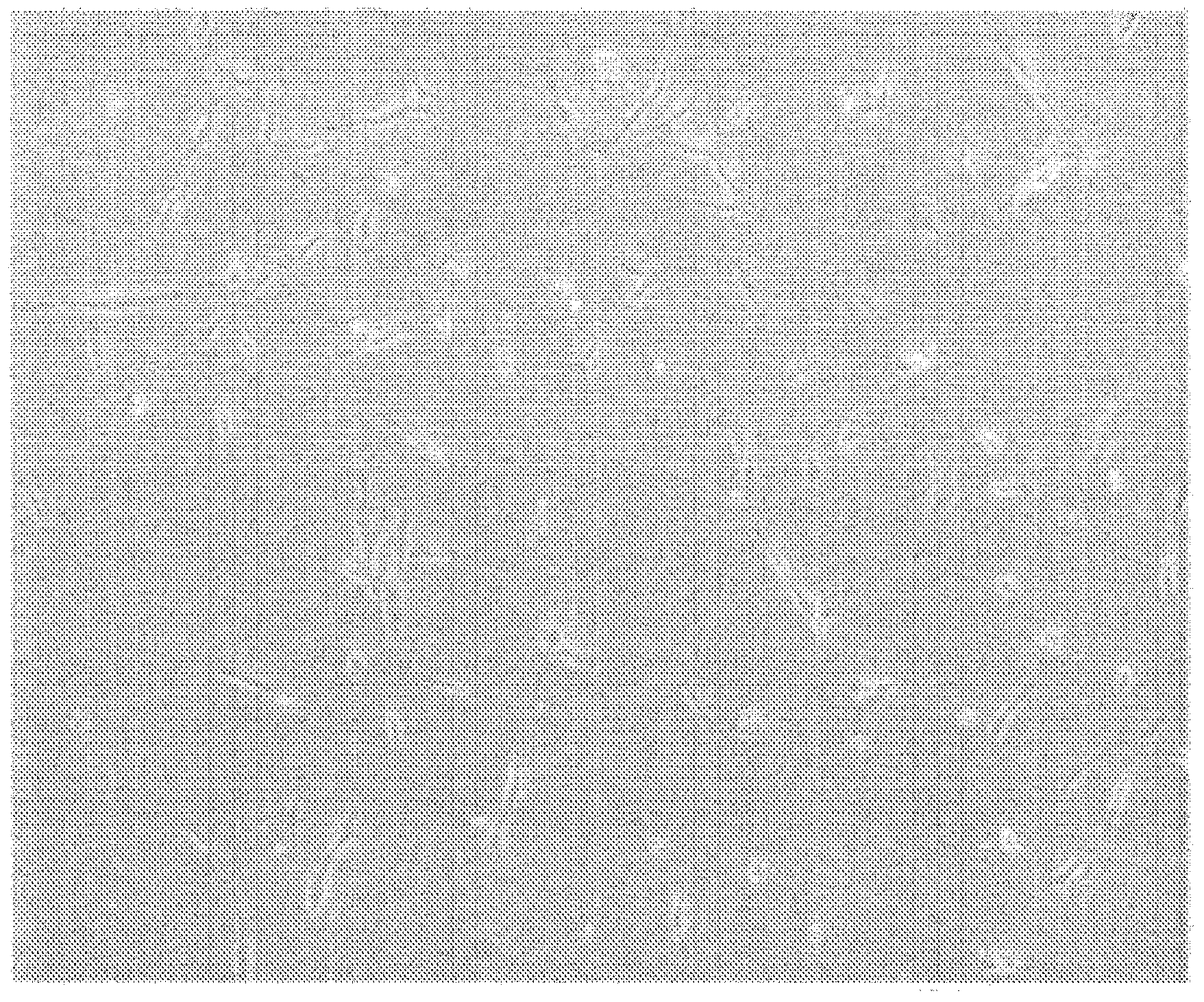 Brown fat cell compositions and methods