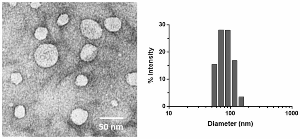 A tumor-targeted radiotherapy-sensitized liposome nano-preparation and preparation method thereof