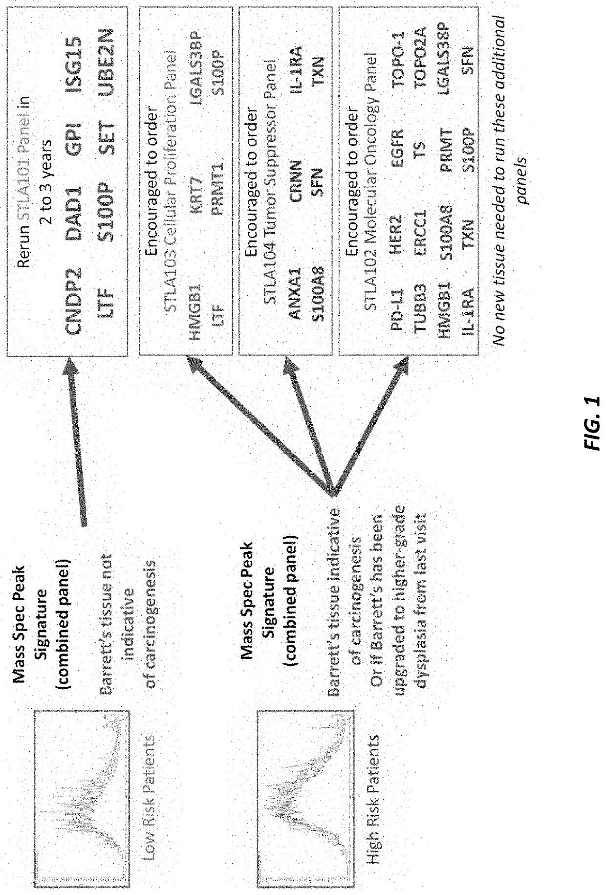 Systems and methods for barrett's esophagus pathogenesis and esophageal adenocarcinoma progression revealing markers