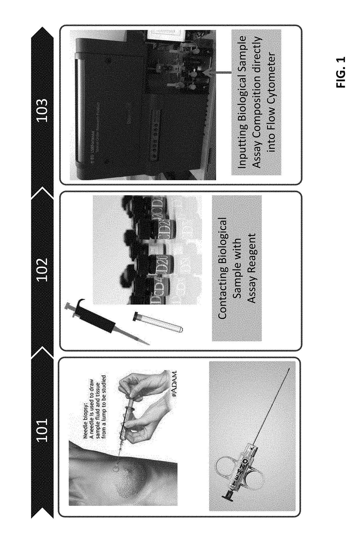 Multi-color flow cytometric analysis of samples with low cell numbers