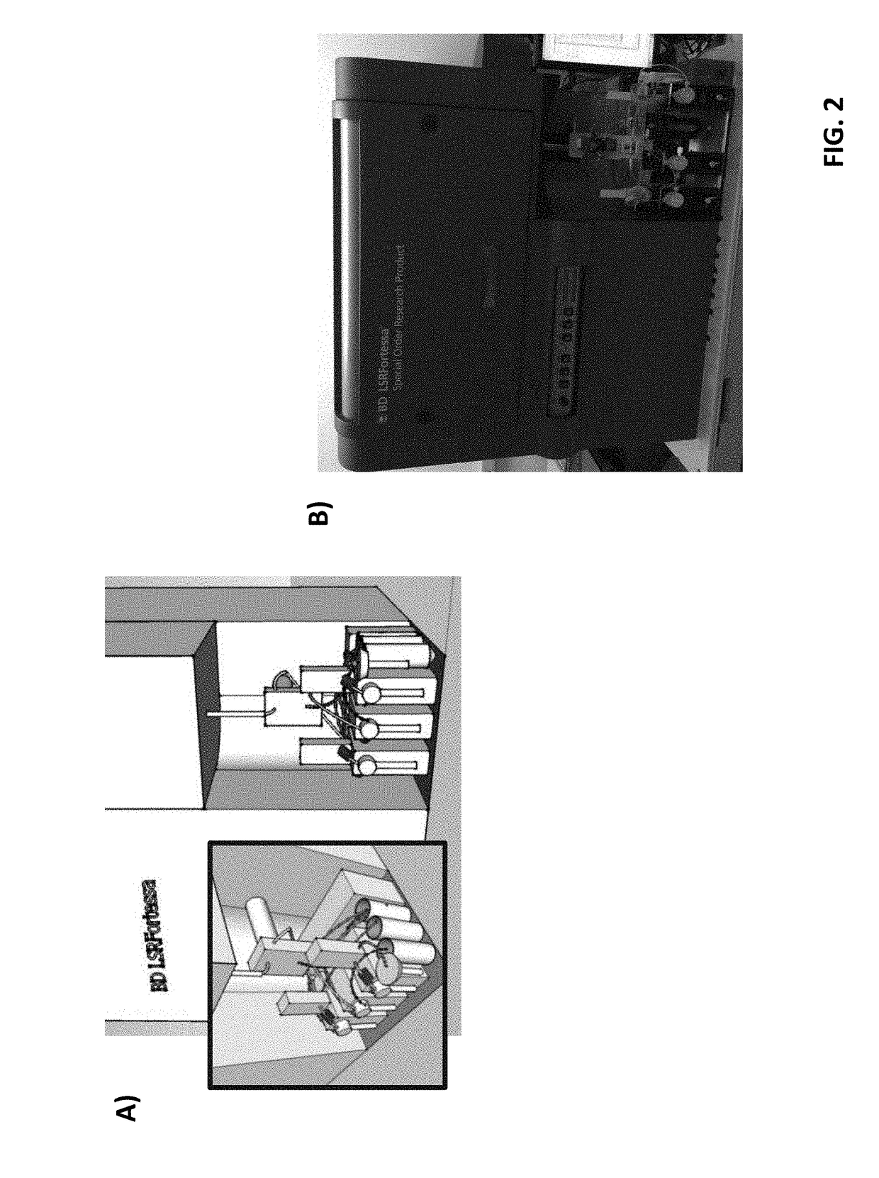 Multi-color flow cytometric analysis of samples with low cell numbers