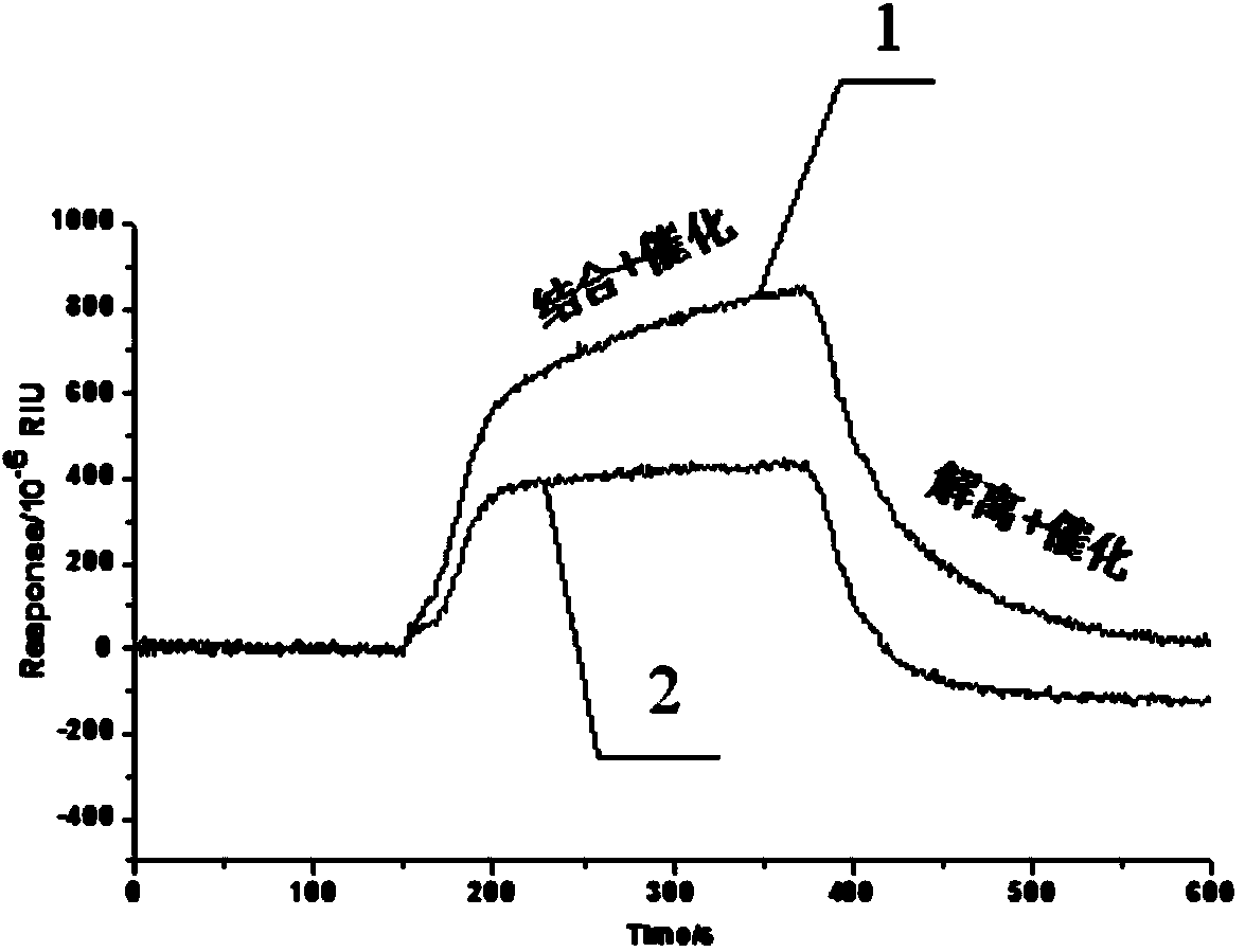 Function of surfactant, and signal amplification method for SPR (Surface Plasma Resonance) detection on low molecular weight substances