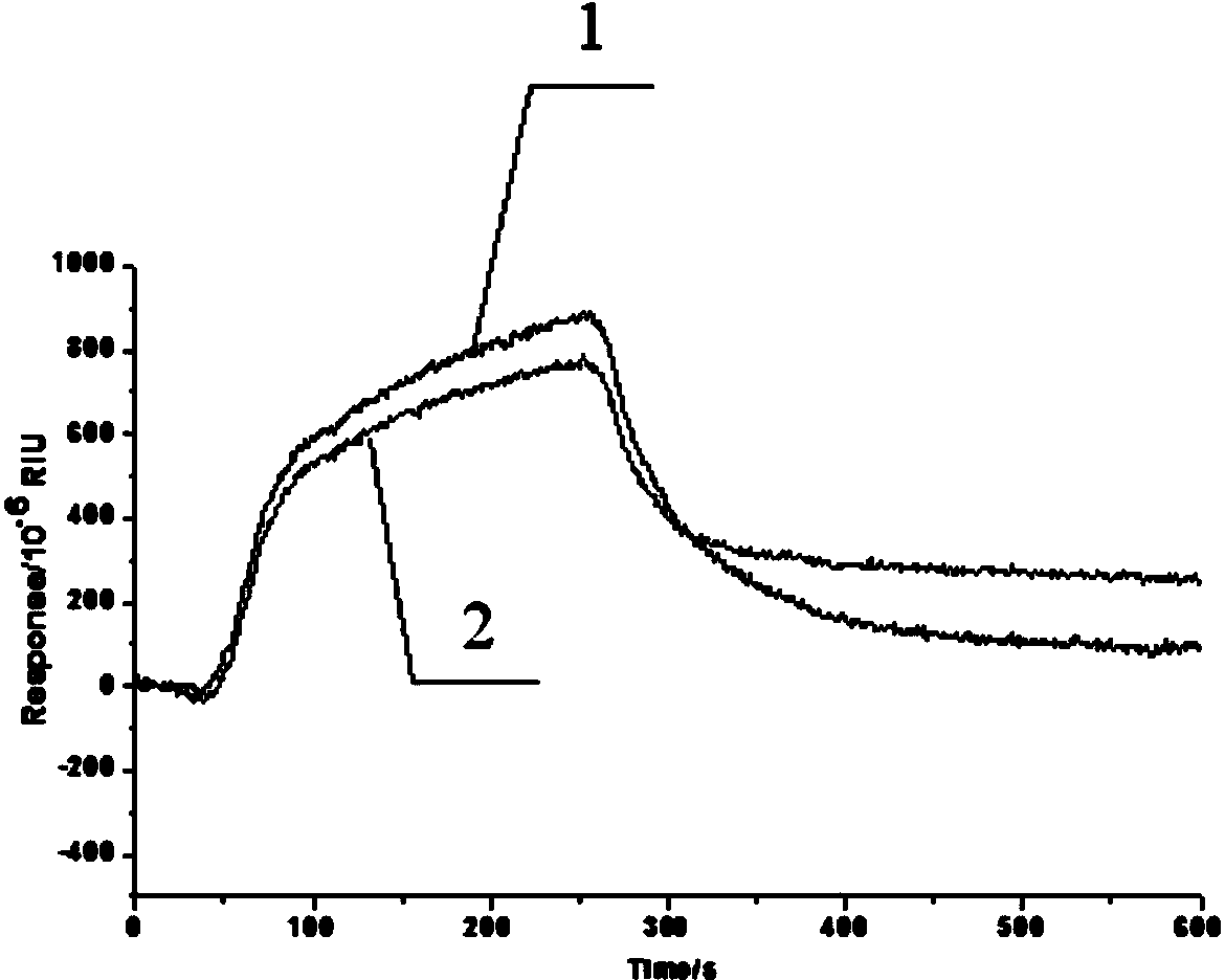 Function of surfactant, and signal amplification method for SPR (Surface Plasma Resonance) detection on low molecular weight substances