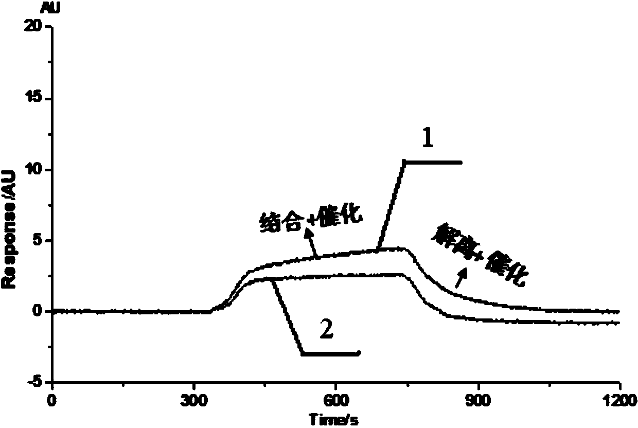 Function of surfactant, and signal amplification method for SPR (Surface Plasma Resonance) detection on low molecular weight substances