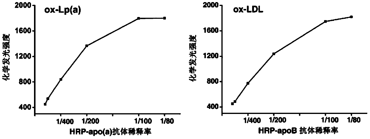 Chemiluminiscence imaging immunoassay method for simultaneously measuring oxidized lipoprotein (a) and oxidized low-density lipoprotein of human serum