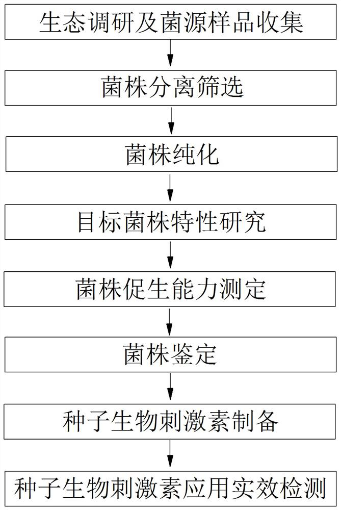 A kind of preparation and application method of seed biostimulant sb-mgw9