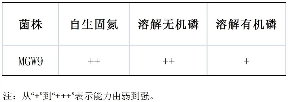 A kind of preparation and application method of seed biostimulant sb-mgw9