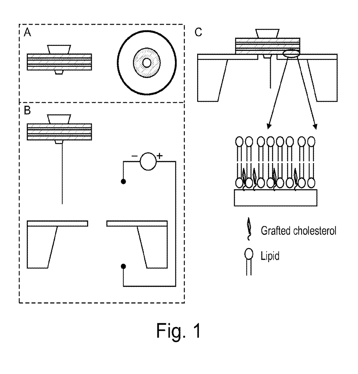 Hybrid nanopore sensors