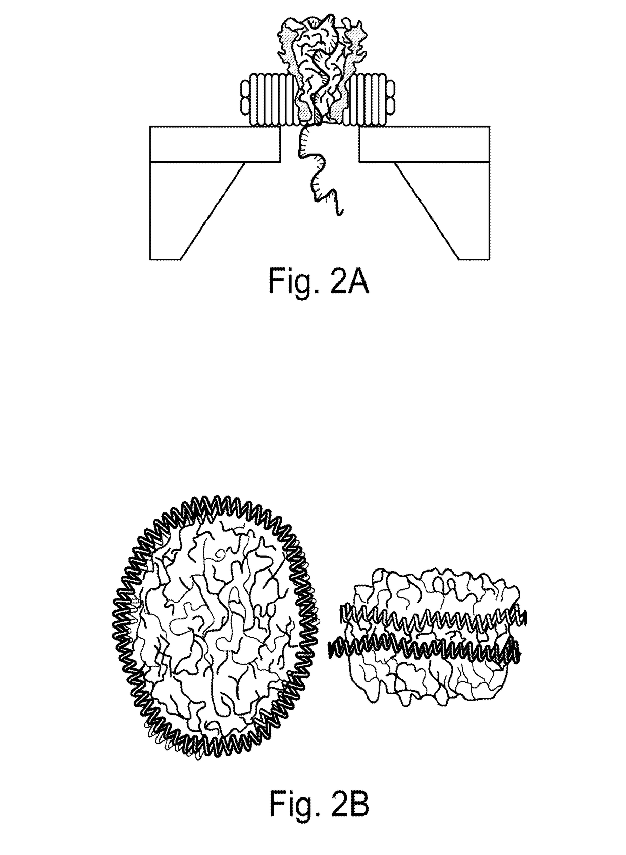 Hybrid nanopore sensors