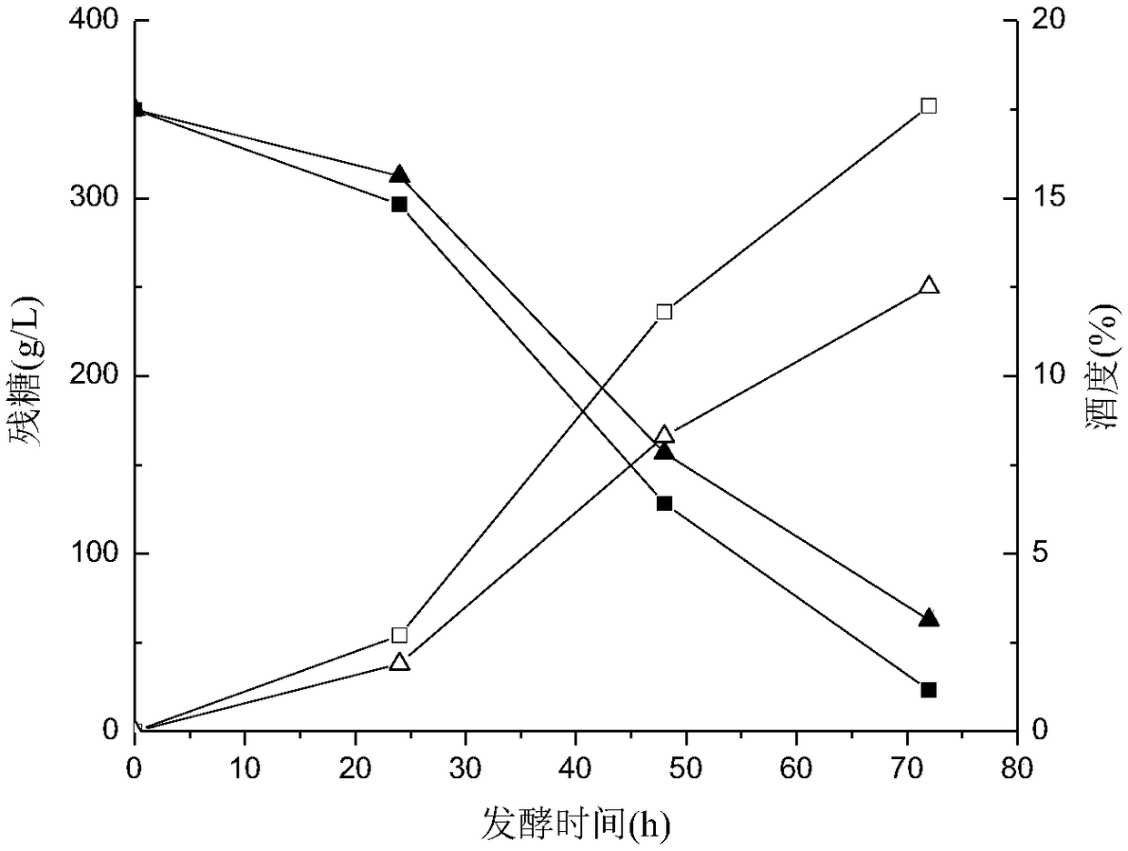 Sugar-tolerant ethanol-resistant brewing yeast and application thereof