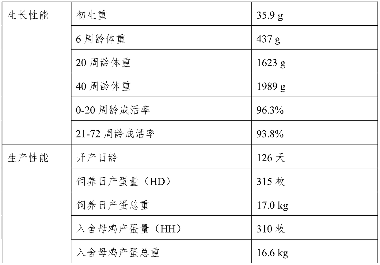 Breeding production method for synthetic line of red-feather and white-shell-egg laying chicken