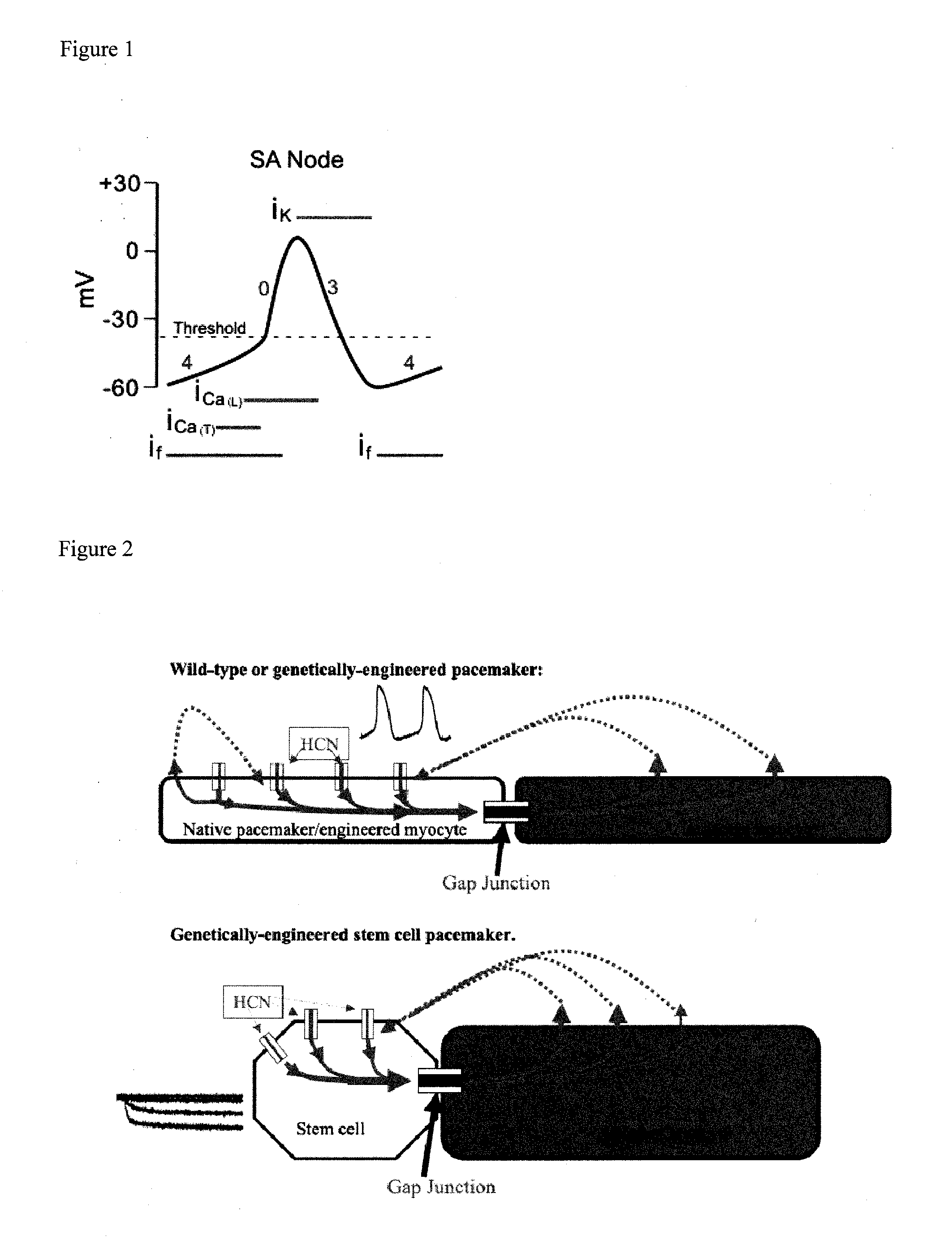 Nanofiber scaffold