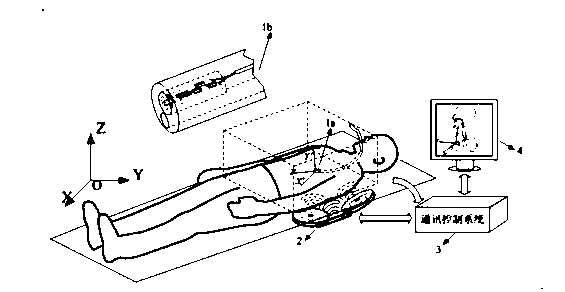 Endoscope tracking and positioning and digital human dynamic synchronous display device based on multi-sensor