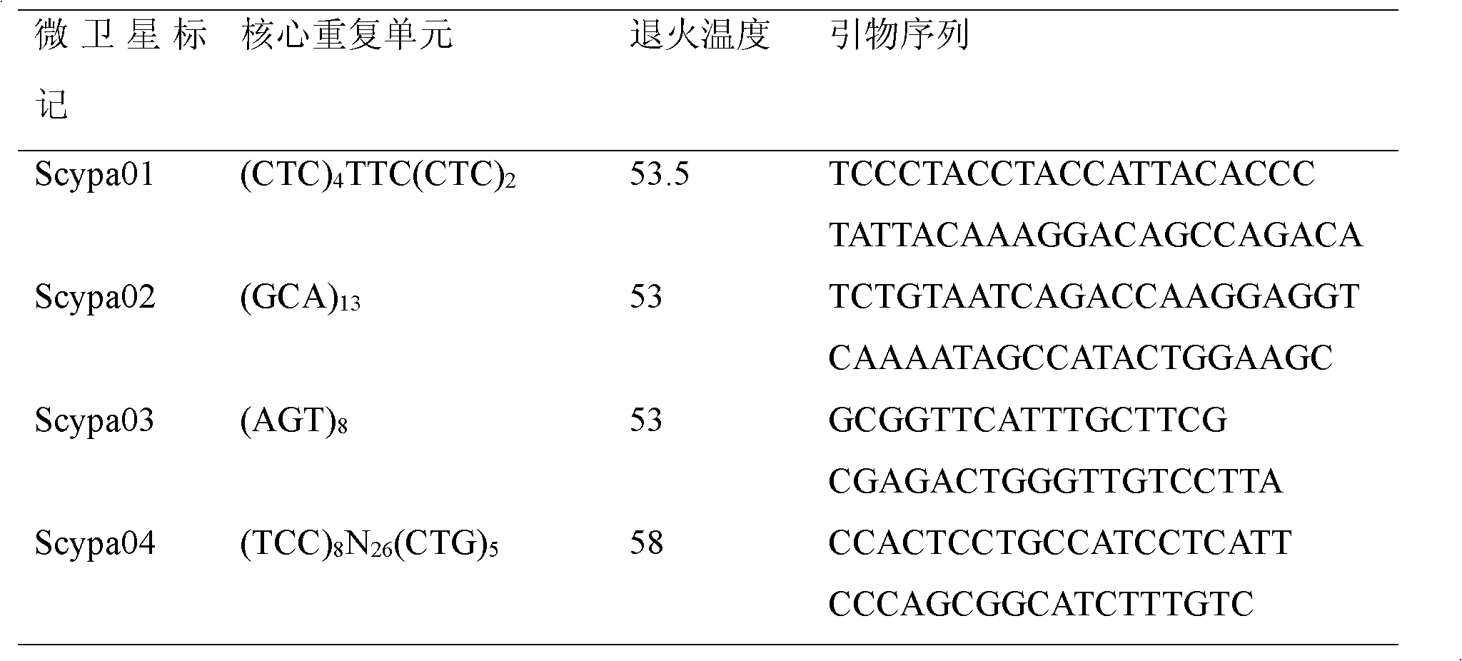 Method for screening scylla paramamosain microsatellite molecular marker