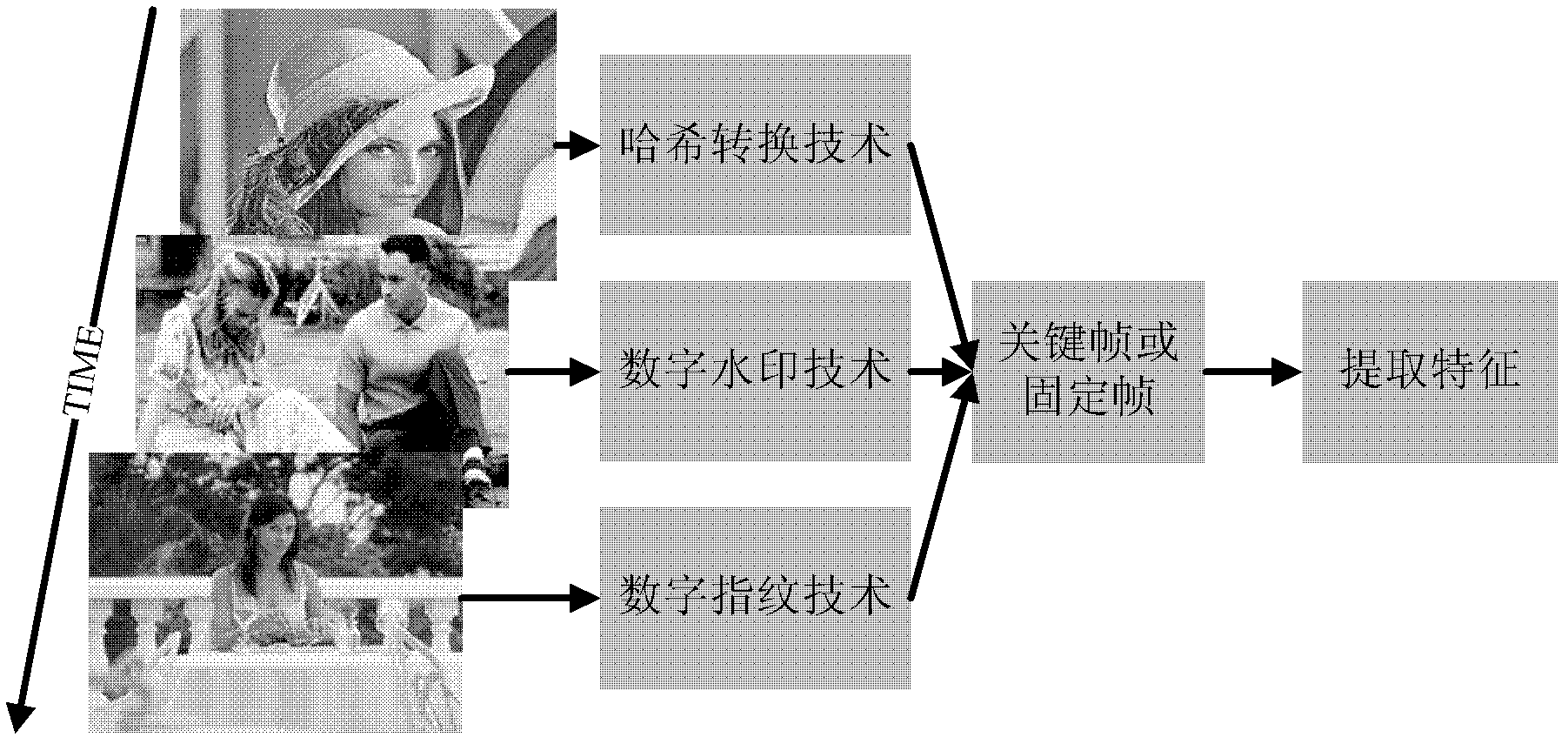 Method for extracting digital video fingerprints