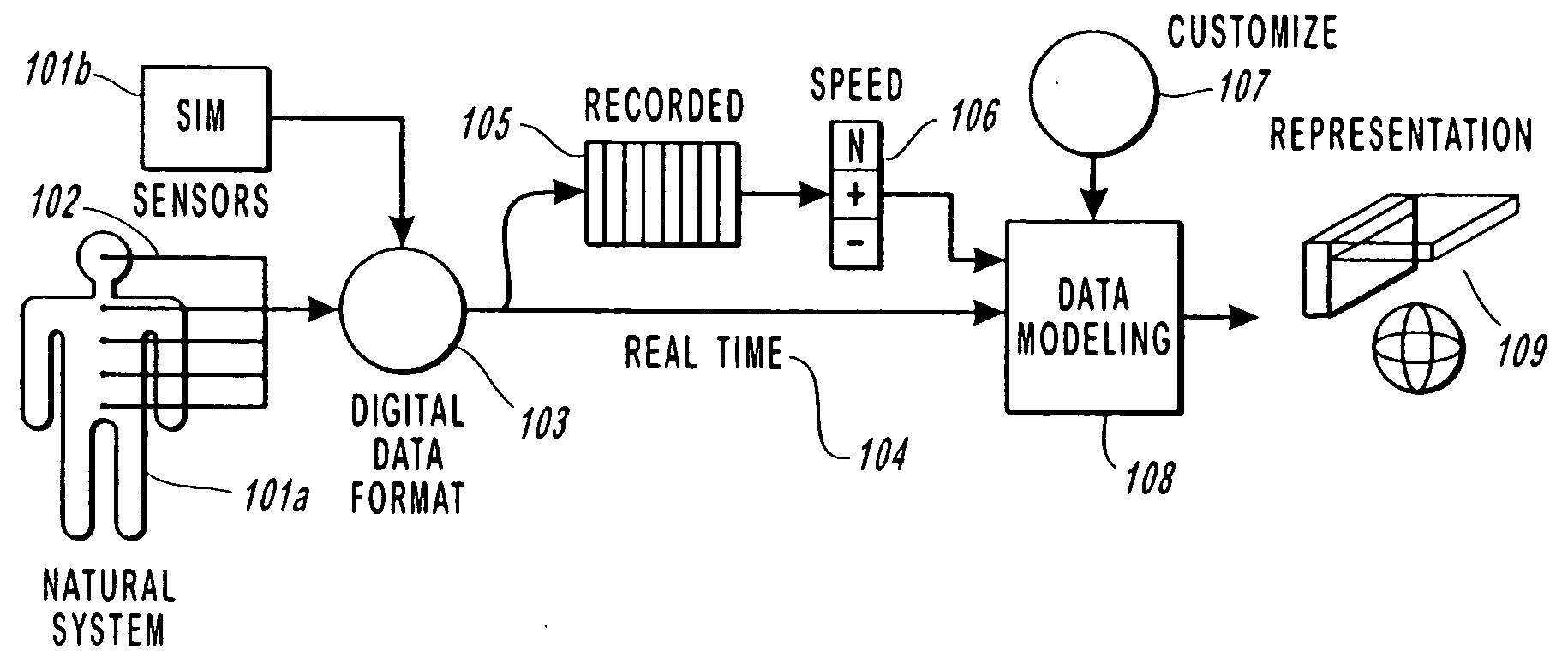 Method and apparatus for monitoring dynamic cardiovascular function using n-dimensional representations of critical functions