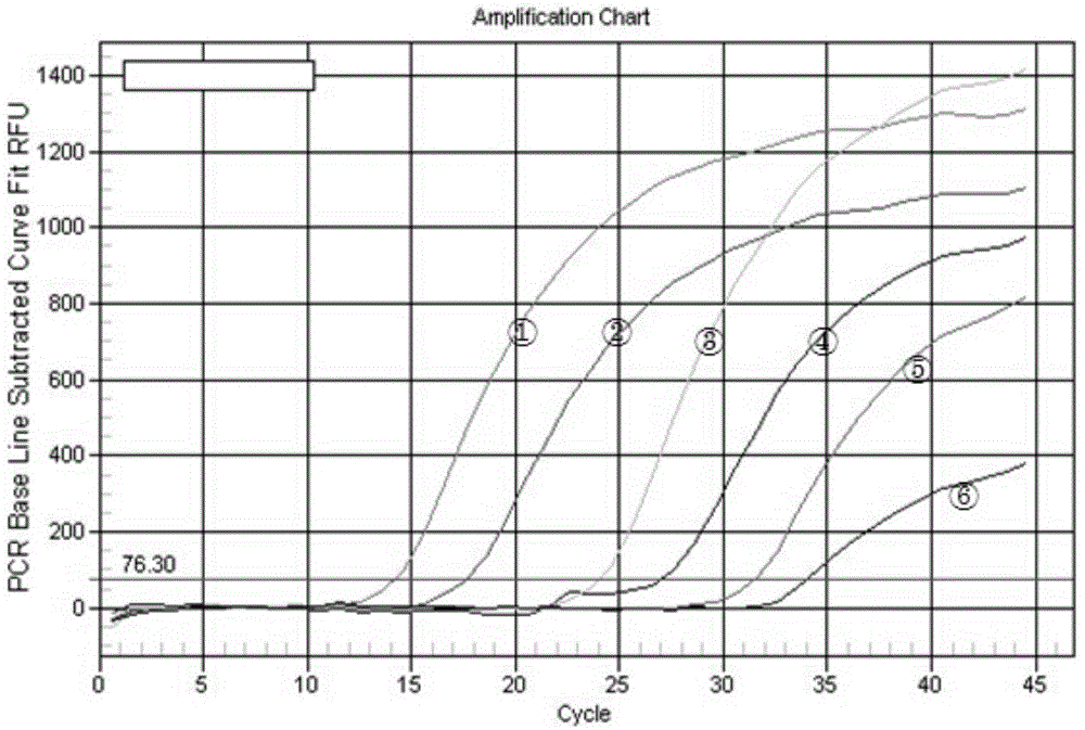 Clostridium perfringens enterotoxin positive bacteria dual fluorescent quantitative PCR rapid detection kit