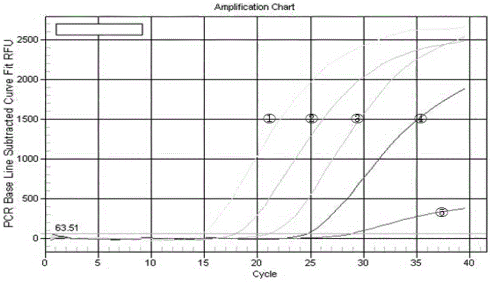 Clostridium perfringens enterotoxin positive bacteria dual fluorescent quantitative PCR rapid detection kit