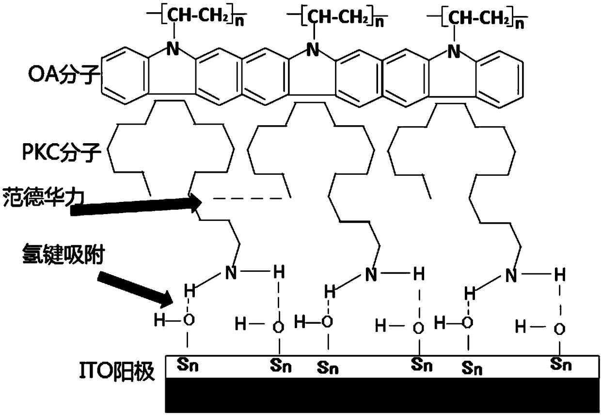 Hydrophilic treatment method of ITO (indium tin oxide) substrate