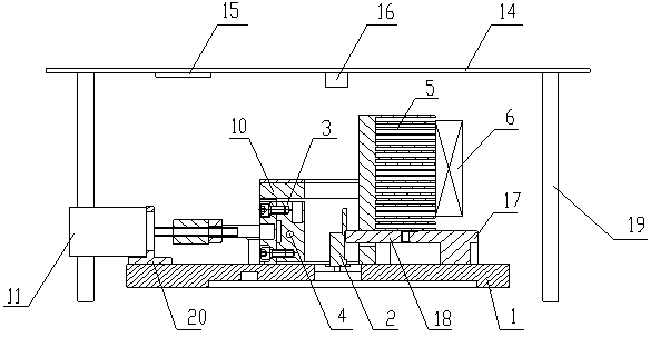 Rapid real-time DNA amplifying equipment and gene mutation detection method