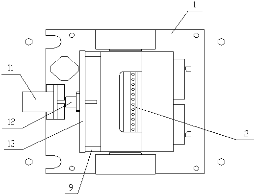 Rapid real-time DNA amplifying equipment and gene mutation detection method