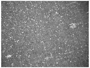 Ultrasonic chemical coloring method for stainless steel