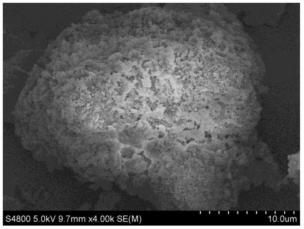 A kind of preparation method of modified porous organic carrier