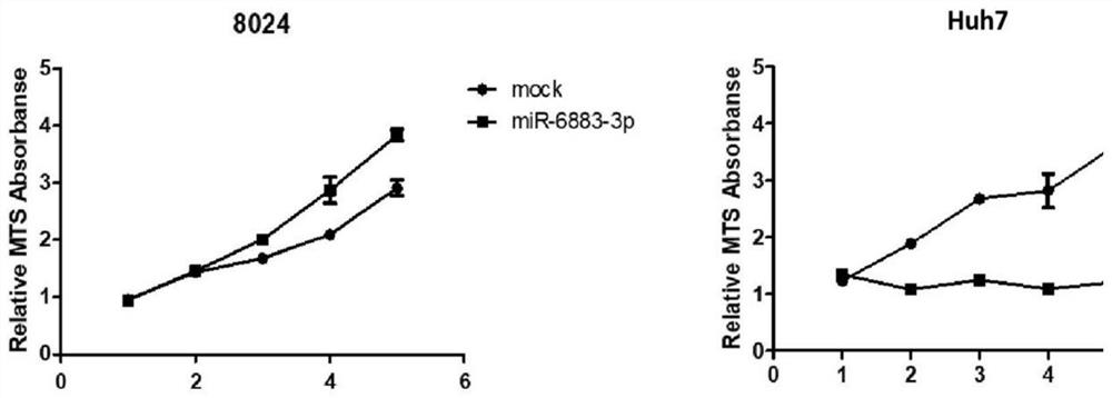 Application of miR-6883-3p in preparation of anti-liver cancer or liver cancer prognosis evaluation product