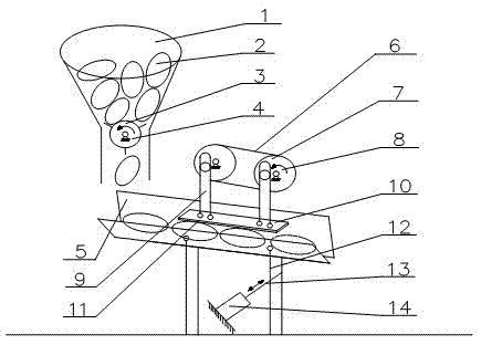 An automatic cocoon cutting and separating device