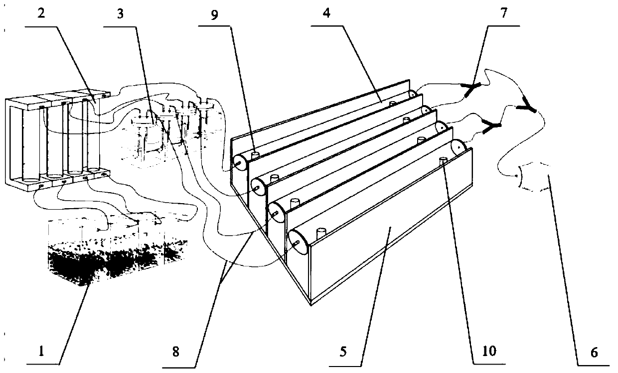 Device for determining influence of insecticide on host positioning capability of aleyrodid pest parasitic wasps and use method