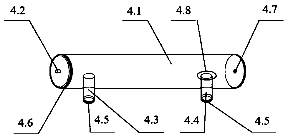 Device for determining influence of insecticide on host positioning capability of aleyrodid pest parasitic wasps and use method