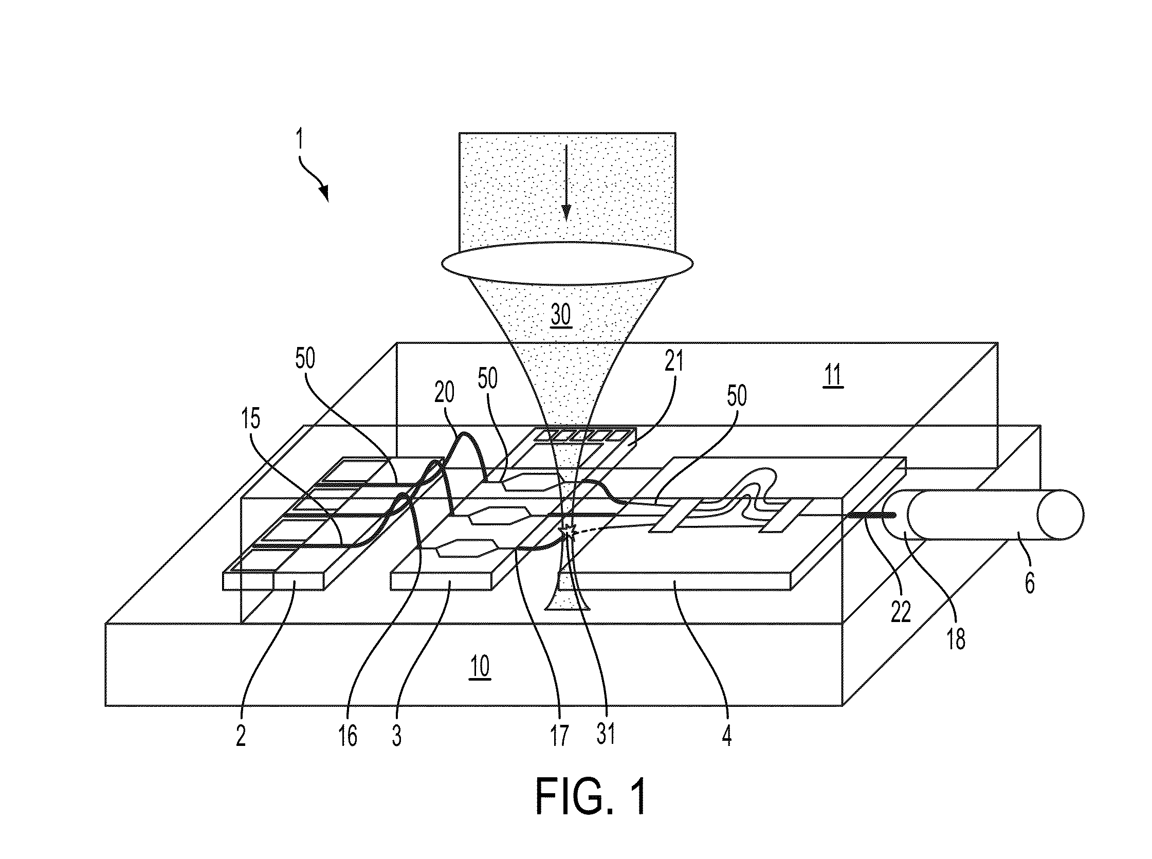 Three-dimensional freeform waveguides for chip-chip connections