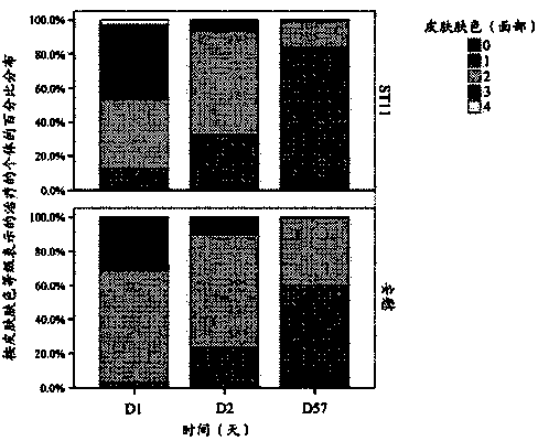 Probiotic microorganisms as an active ingredient for enhancing skin radiance