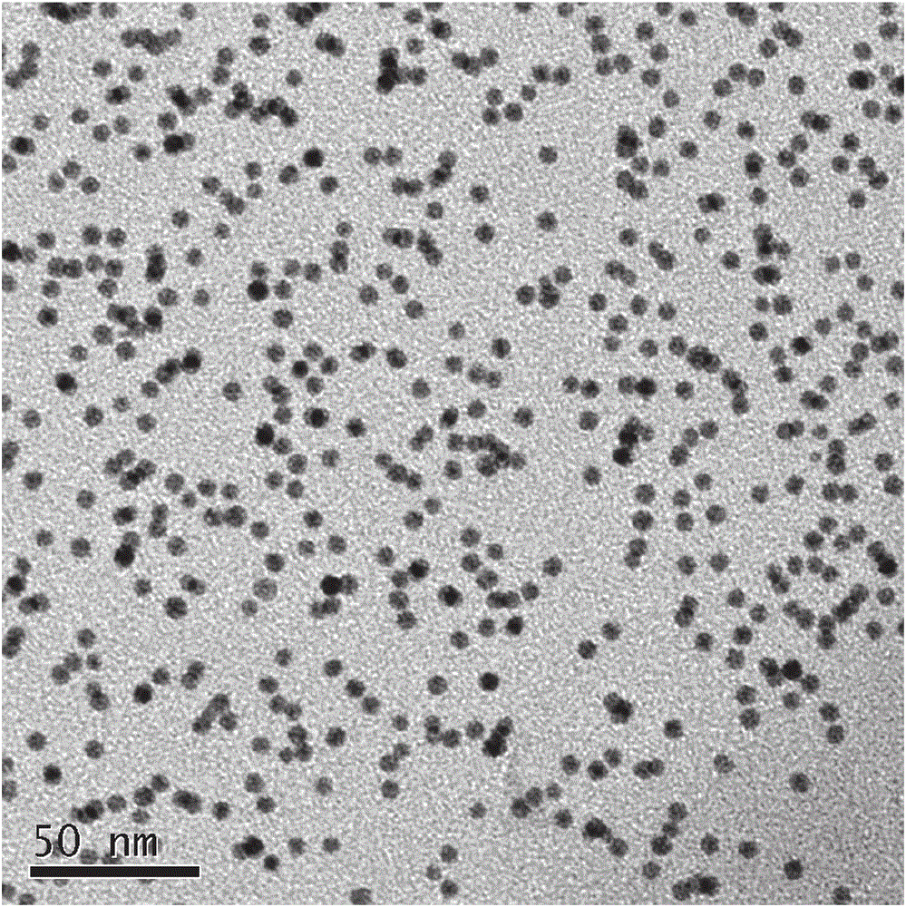 Silver-carrying nanometer titanium dioxide and preparation method thereof