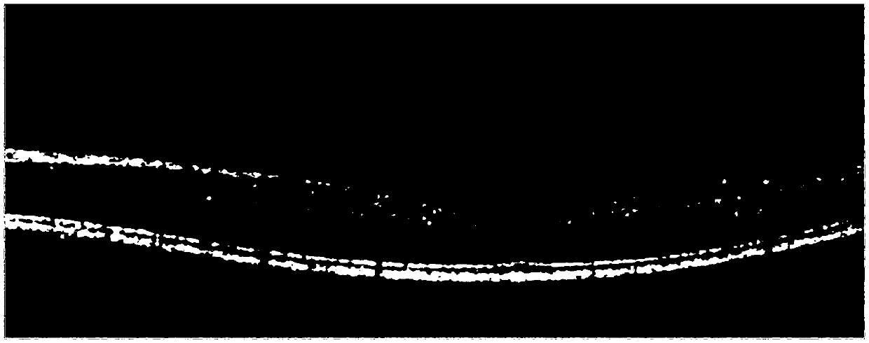 Optical coherence tomography retina image layering method