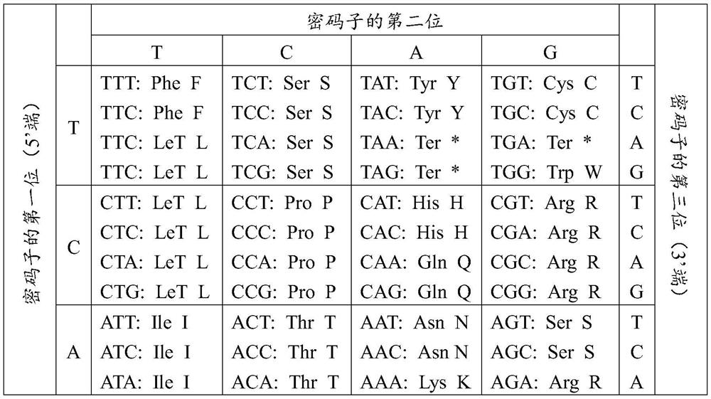 A monoclonal antibody capable of competing with positive serum for binding to African swine fever virus b646l antigen and its application