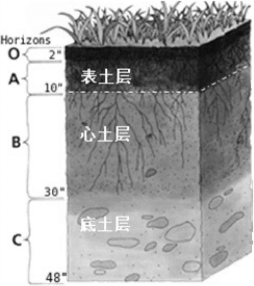 Soil conditioner, as well as preparation method and application thereof