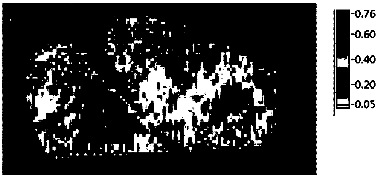 A reflective real-time tumor imaging method and system