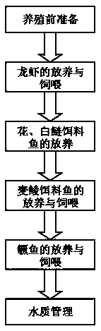 Efficient culture method for mandarin fishes and crayfishes in pond