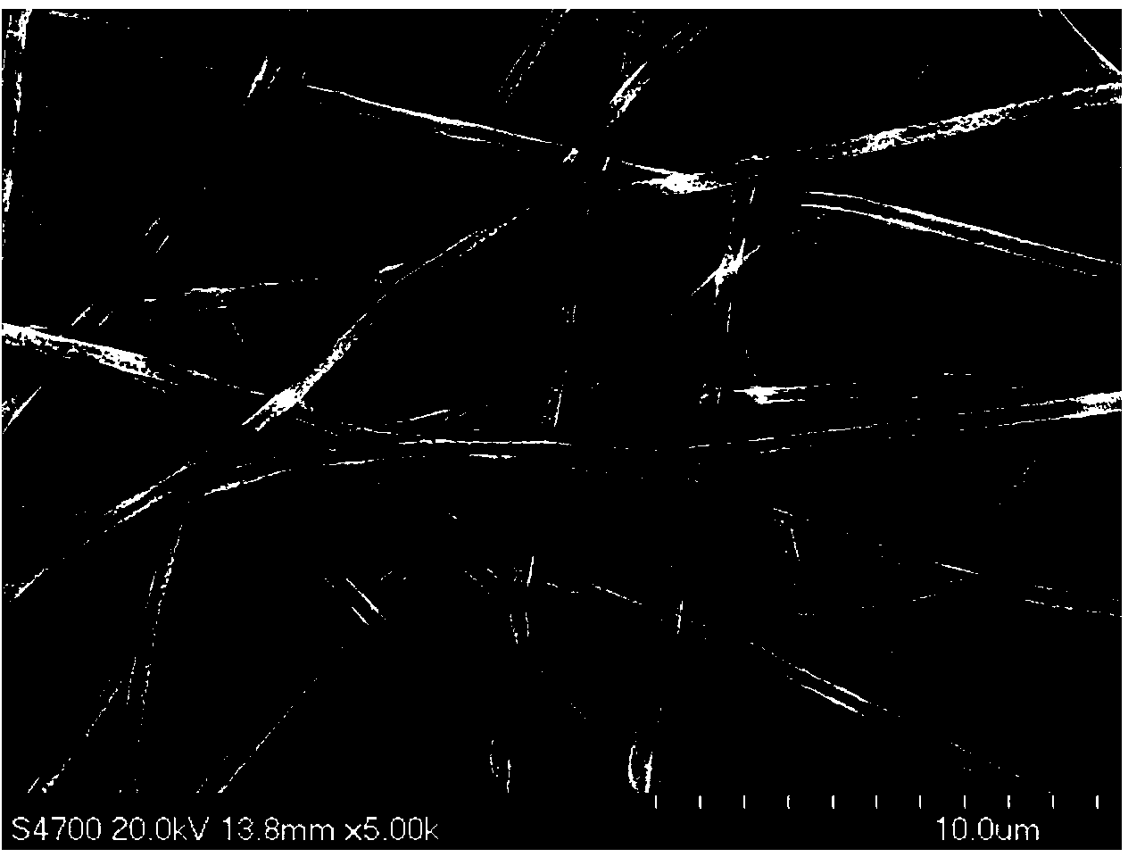 Core-shell structure metal/polymer nanofiber and preparation method thereof