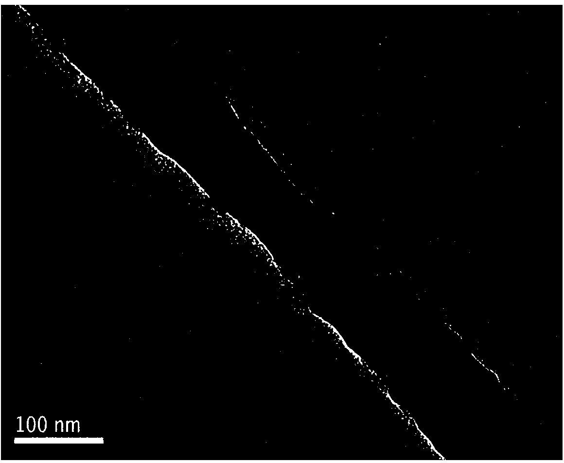 Core-shell structure metal/polymer nanofiber and preparation method thereof