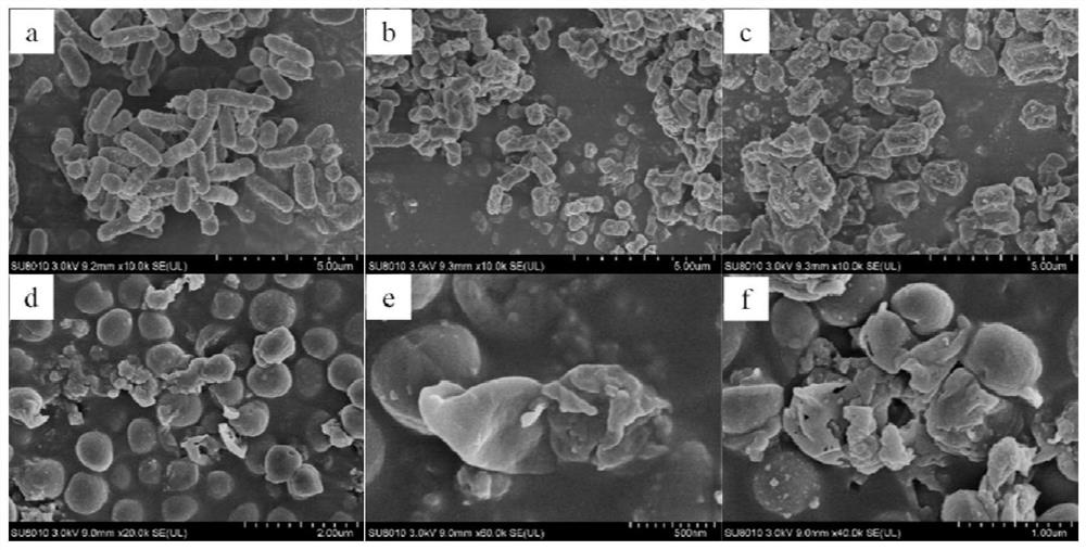 Bacteriostatic mesoporous silicon dioxide compound as well as preparation method and application thereof