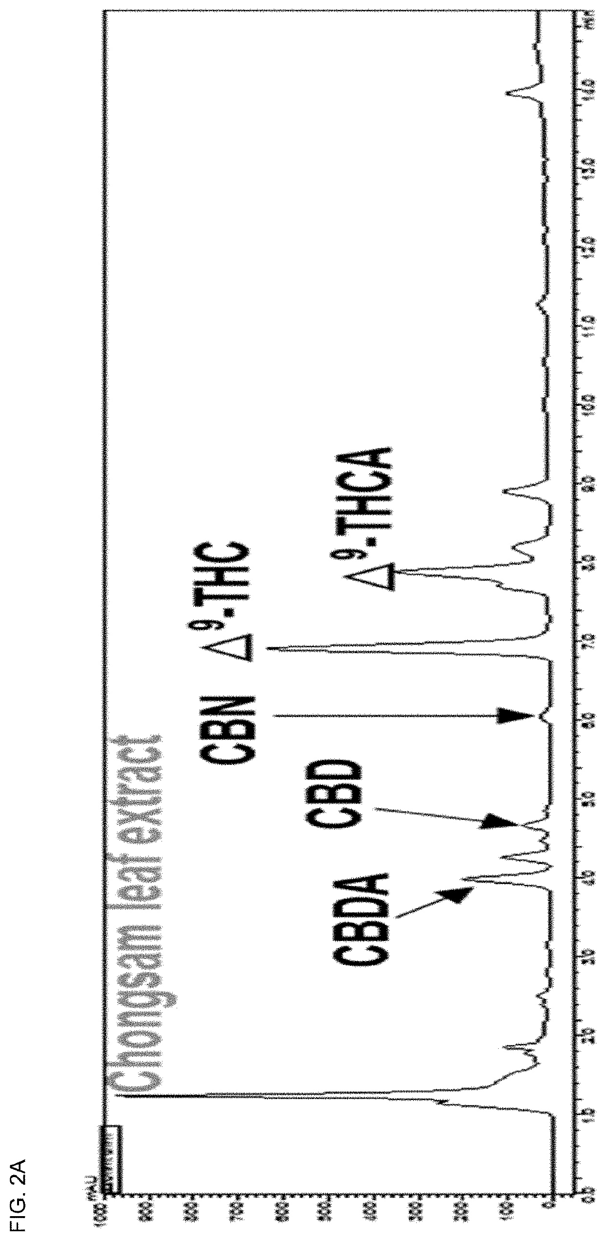 Antiviral composition for sars-cov-2 containing cannabinoids as active ingredient